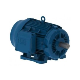Motor Electrico 30 HP, 1750 RPM, 4 Polos, 220/440v, Ef premium